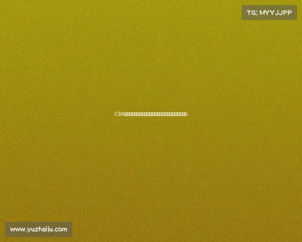 CBA经理角色新定位探索如何推动联赛发展与球队竞争力提升